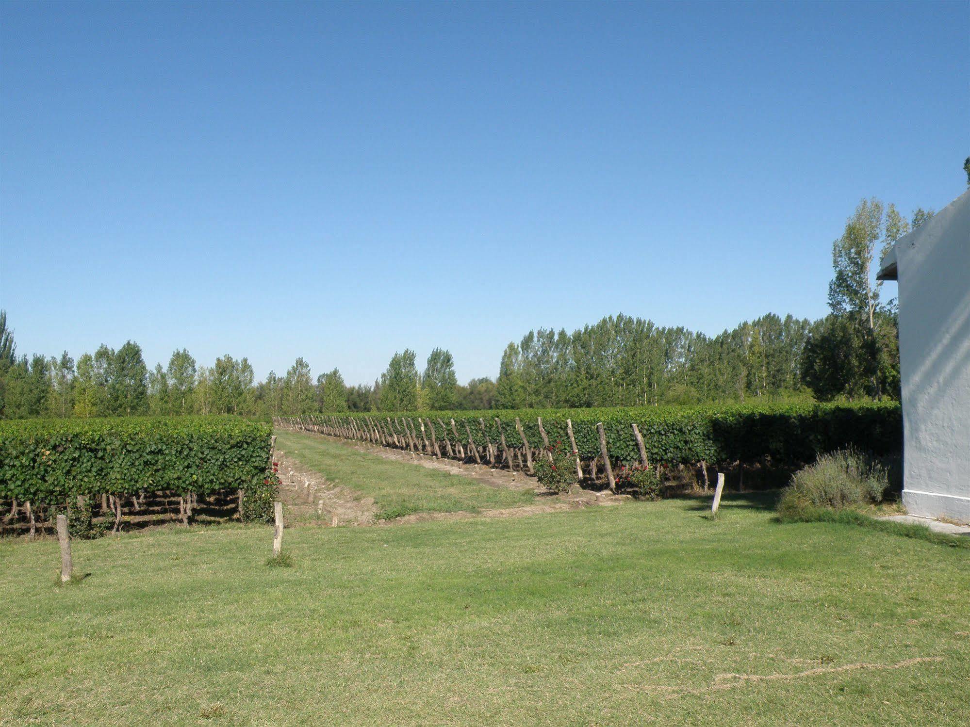 فندق بوستاليس فالي دي يوكو البوتيكي Colonia Las Rosas المظهر الخارجي الصورة