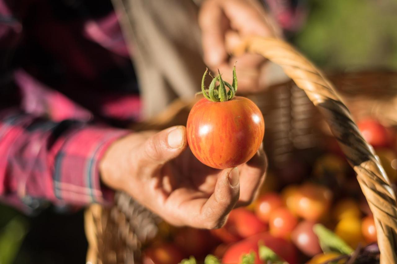 فندق بوستاليس فالي دي يوكو البوتيكي Colonia Las Rosas المظهر الخارجي الصورة